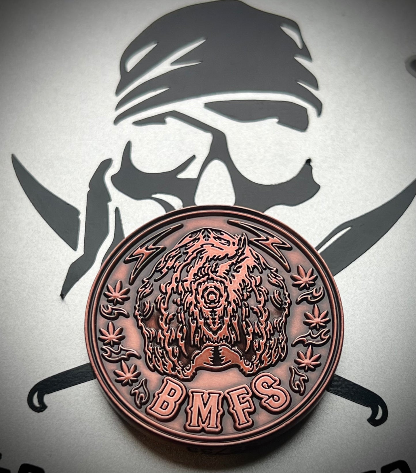 BMFS Bronze coin